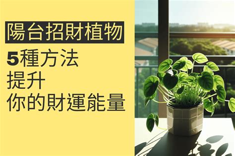 陽台植物招財|陽台植物風水指南：打造生機勃勃、招財納福的綠色天。